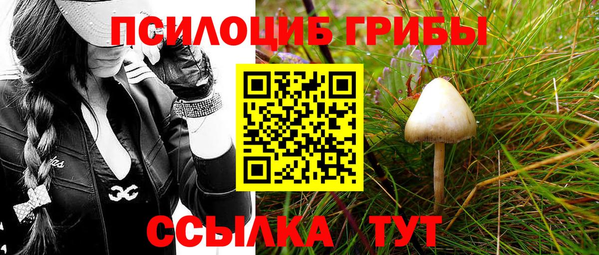 Галлюциногенные грибы прущие грибы  Галлюциногенные грибы Psilocybe  Новокузнецк  Вход с VPN 